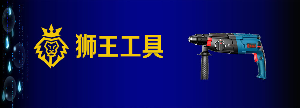 狮王电动工具